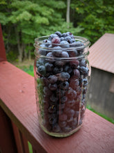 Load image into Gallery viewer, Blueberry Absolute — Spontaneous Fermentation of Estate Grown Organic Vermont Blueberries from 45 Year Old Bushes. Late summer 2026 harvest.