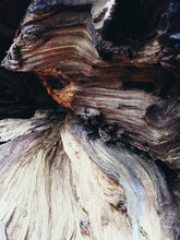 Load image into Gallery viewer, Saltwood Coast. natural perfume. salt, cedar, petrichor, cypress, blue foam and sea vegetables.