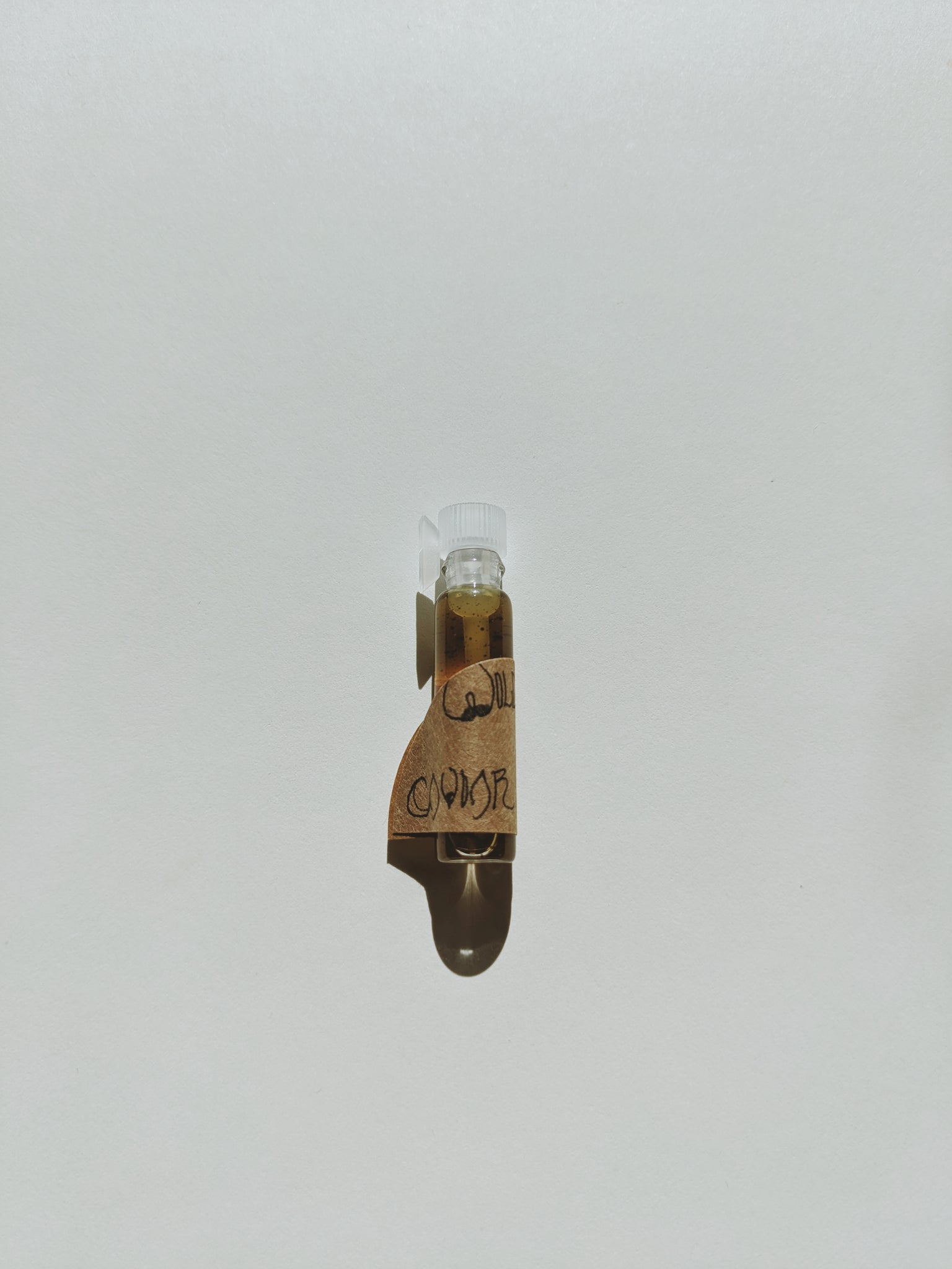 Caviar Rose. animalic sour cabbage rose perfume from long term tinctur ...