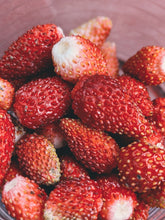 Load image into Gallery viewer, Musk Strawberry Young Culture☽•☾ Fortified spontaneous fruit culture. September 2026 micro release.