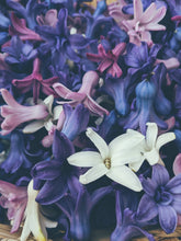 Load image into Gallery viewer, Hyacinth Enfleurage.