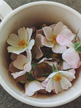 Load image into Gallery viewer, Musk Rose Enfleurage. Scent is of white wines from the Languedoc region, with a dry, tangy, and briny profile like sun-baked sand bearing the impression of dried sea foam. June 2024