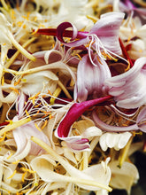 Load image into Gallery viewer, Suikazura (June-August 2020). Aged Pink and Yellow Honeysuckle Enfleurage Extrait. Organic honeysuckle perfume. Biodynamic