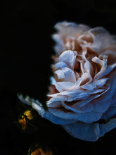 Load image into Gallery viewer, Blue Topaz. natural perfume. jasmine, rose, vanilla, orange, tonka, orris, incense. November 2023