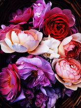 Load image into Gallery viewer, Rosegate. Natural perfume from tinctures of 33 old rose cultivars