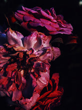 Load image into Gallery viewer, Habit. natural perfume. orange blossom, carnation, vanilla, licorice, orris root, tonka. September 2022