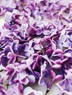 Lilac and Bushman Candle Enfleurage.