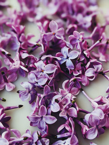 Lilac and Bushman Candle Enfleurage.