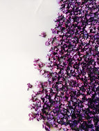 Lilac and Tabacum Leaf Enfleurage.