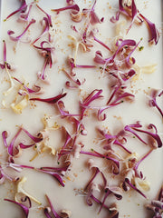 Suikazura (June-August 2020). Aged Pink and Yellow Honeysuckle Enfleurage Extrait. Organic honeysuckle perfume. Biodynamic