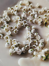 Load image into Gallery viewer, Lily of the Valley Enfleurage.