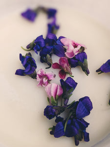 Parma Violet Enfleurage (Viola alba).