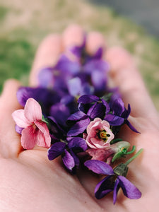 Parma Violet Enfleurage (Viola alba).