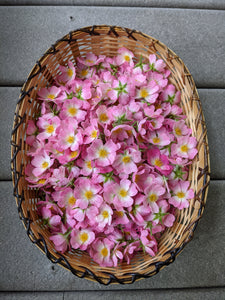 Musk Rose Enfleurage. Scent is of white wines from the Languedoc region, with a dry, tangy, and briny profile like sun-baked sand bearing the impression of dried sea foam. June 2024