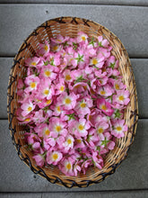 Load image into Gallery viewer, Kunja. Himalayan Musk Rose Soliflore. Single note Rosa brunonii perfume with musk rose enfleurage. June 2022