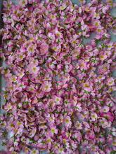 Load image into Gallery viewer, Musk Rose Enfleurage. Scent is of white wines from the Languedoc region, with a dry, tangy, and briny profile like sun-baked sand bearing the impression of dried sea foam. June 2024