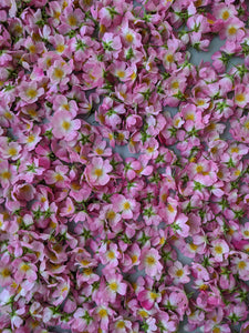 Musk Rose Enfleurage. Scent is of white wines from the Languedoc region, with a dry, tangy, and briny profile like sun-baked sand bearing the impression of dried sea foam. June 2024