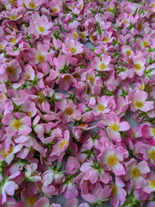 Musk Rose Enfleurage. Scent is of white wines from the Languedoc region, with a dry, tangy, and briny profile like sun-baked sand bearing the impression of dried sea foam. June 2024