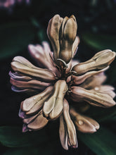 Load image into Gallery viewer, Sonbol (May 2019). Aged Hyacinth Enfleurage Extrait. Organic Hyacinthus orientalis perfume. Biodynamic