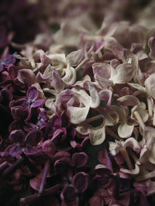 Lilac Wine. enfleurage perfume. effervescent and longlasting lilac fougère