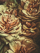 Load image into Gallery viewer, Leather Damask. natural perfume. tanned rose skin wallpaper scent. September 2022