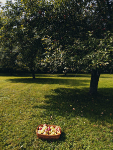 Mălum Mālum. an adult apple scent for The Fall. September 2021