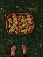 Load image into Gallery viewer, Mălum Mālum. an adult apple scent for The Fall.