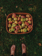 Mălum Mālum. an adult apple scent for The Fall. September 2025