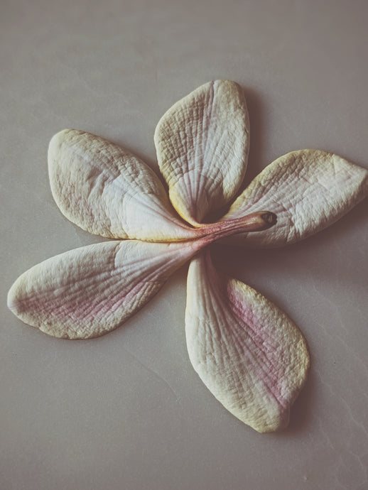 Women's Bestsellers: Natural Perfume Trio. Sampler of 3 Wild Veil liquid perfumes. Gift set for her.