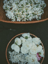 Load image into Gallery viewer, June Flower. Co-Enfleurage of White Peonies, Gardenia Jasminoides, Star Jasmine, Damask and Alba Roses. June 2022