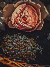 Load image into Gallery viewer, Rose Jacket. natural perfume. a coat of roses for yellowjacket season. Ausugt 2021