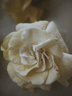Enfleurage Sample Set: 12 Natural Perfumes. Wild Veil solid fragrances. Gift set. Exquisite floral.
