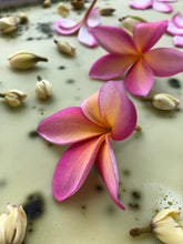 Load image into Gallery viewer, Plumeria, Banana Magnolia and Seogwang Tea Enfleurage.