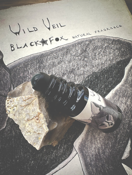 Black Fox. natural perfume. black amber fougère with brisk camphor fur. May 2023
